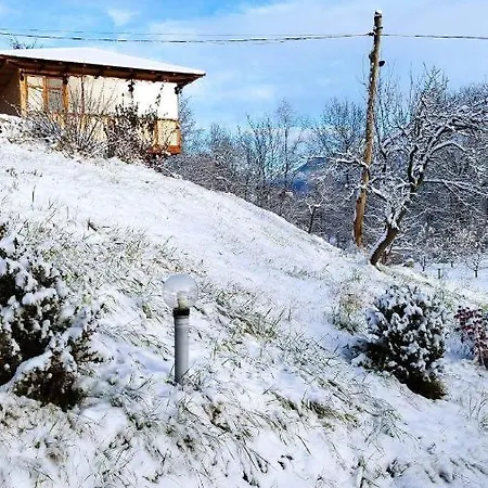 Casa Veche Guest house