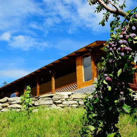 Guest house Casa Veche *