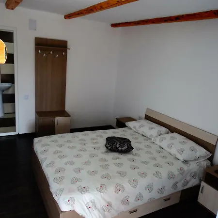 Casa Veche Guest house