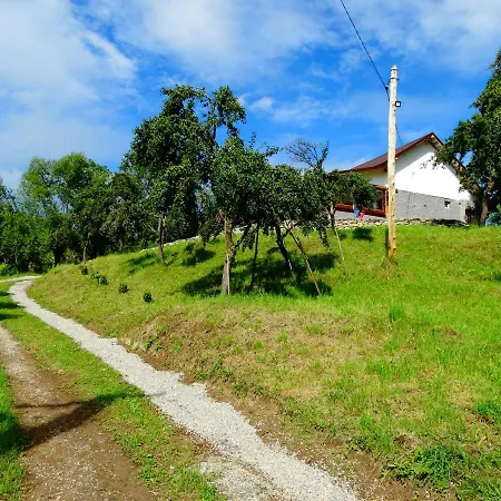 Guest house Casa Veche Corbeni