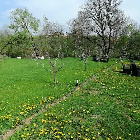 Casa Veche Guest house Corbeni