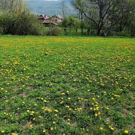 Casa Veche Guest house *